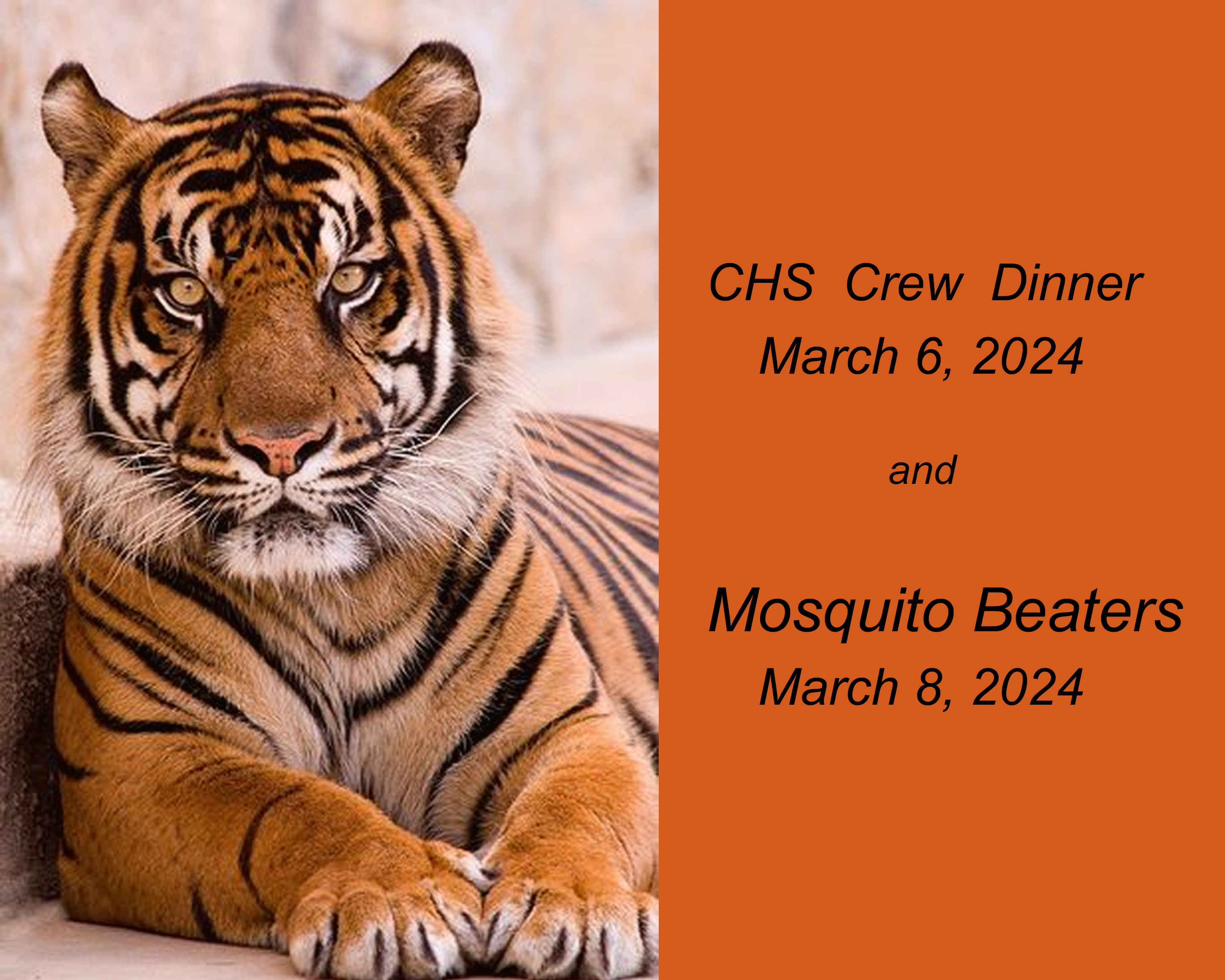 Mosquito Beaters March 2024